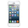 Apple iPhone 5 16Gb white - Вязьма