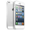 Apple iPhone 5 64Gb white - Вязьма